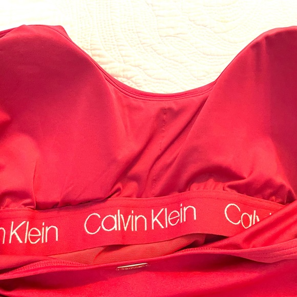 CALVIN KLIEN Belted Rosebud Shimmer Swimsuit - Picture 6 of 14